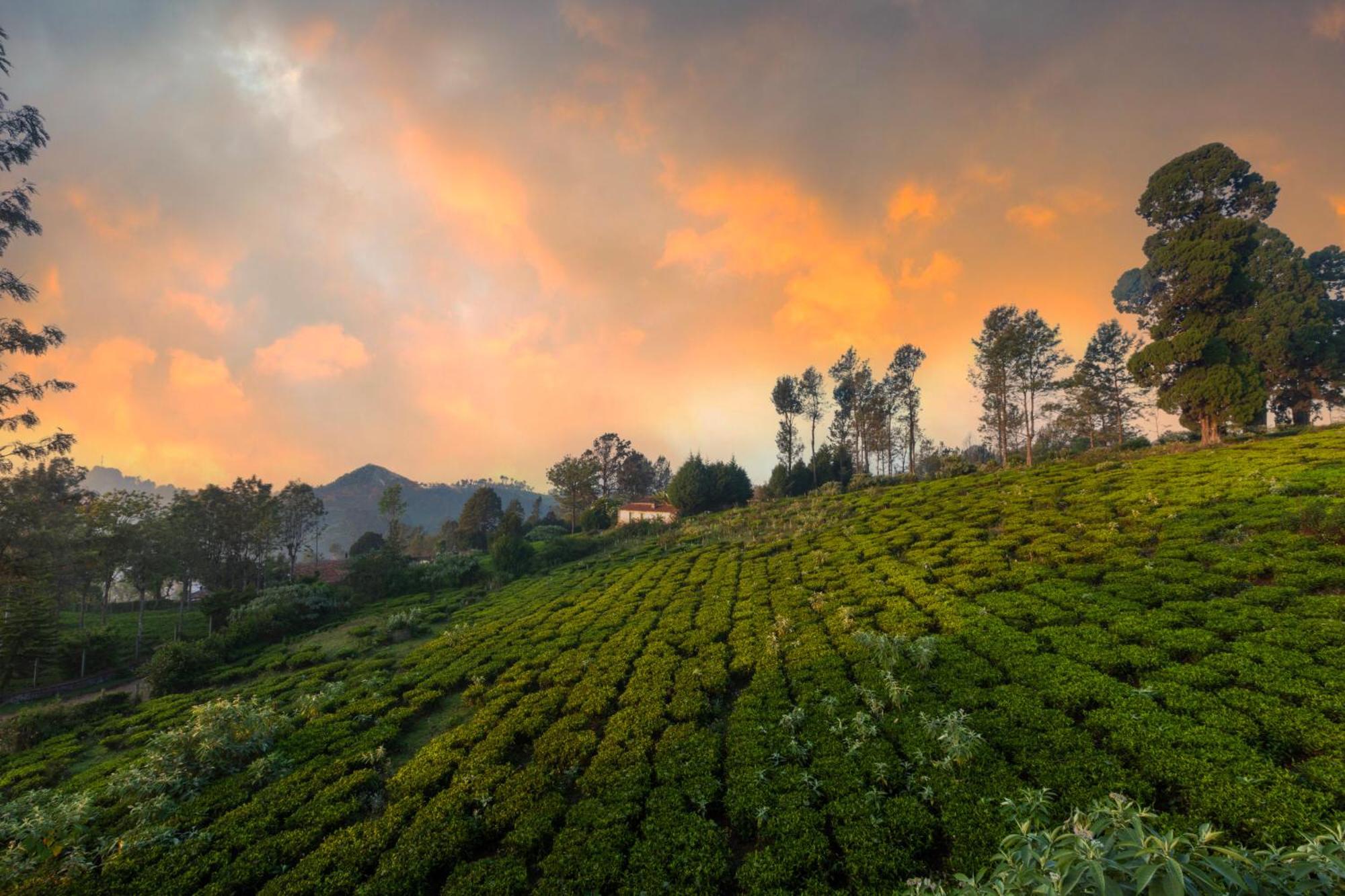 Solitude By Nature Resorts And Stays Kotagiri Esterno foto